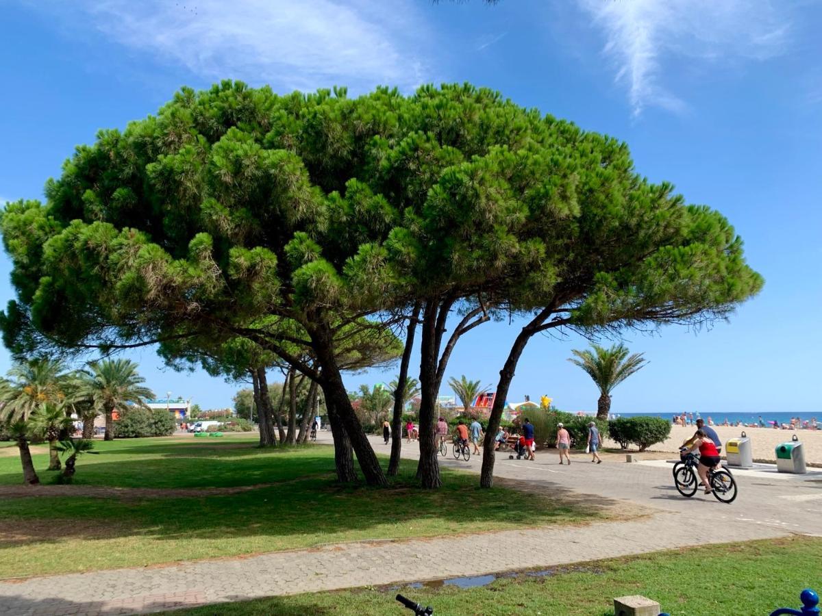 Superbe Appartement Neuf Entre Mer Et Pins Wifi Argelès-sur-Mer Esterno foto