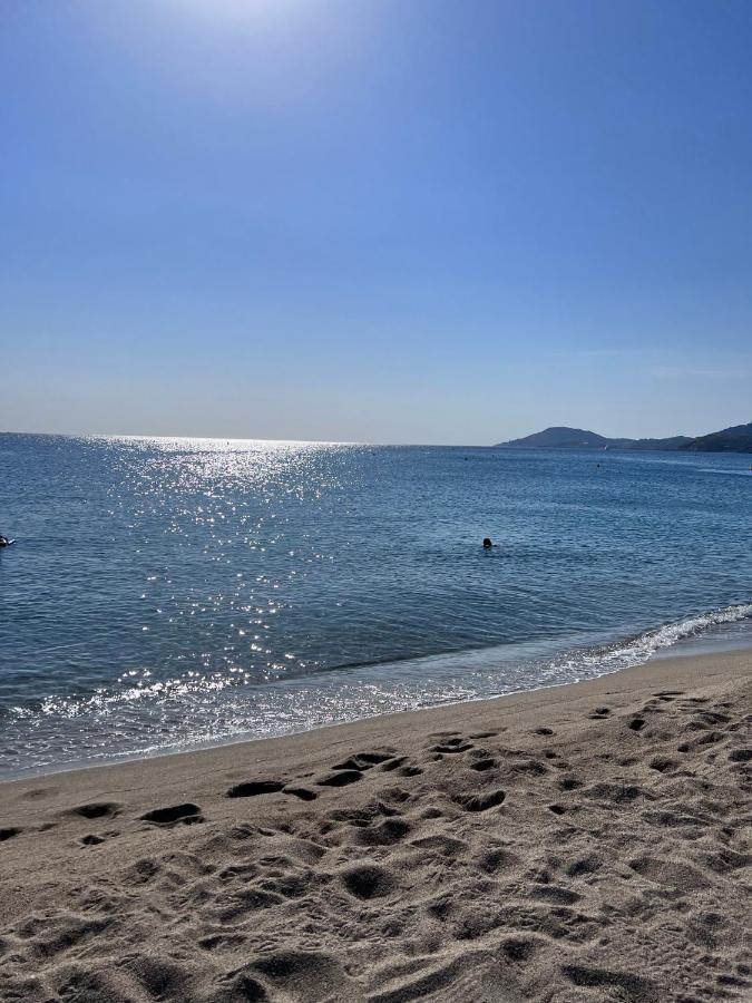 Superbe Appartement Neuf Entre Mer Et Pins Wifi Argelès-sur-Mer Esterno foto